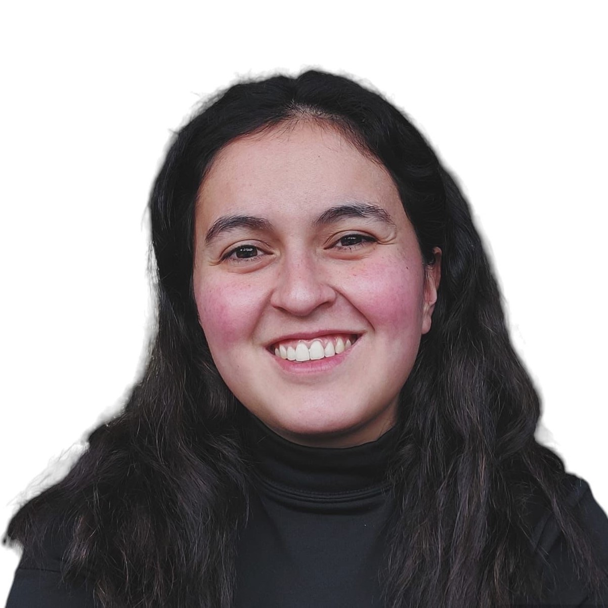 Perfil Antonia Saldías de Mulder