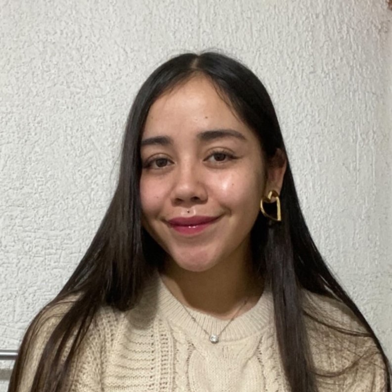 Perfil