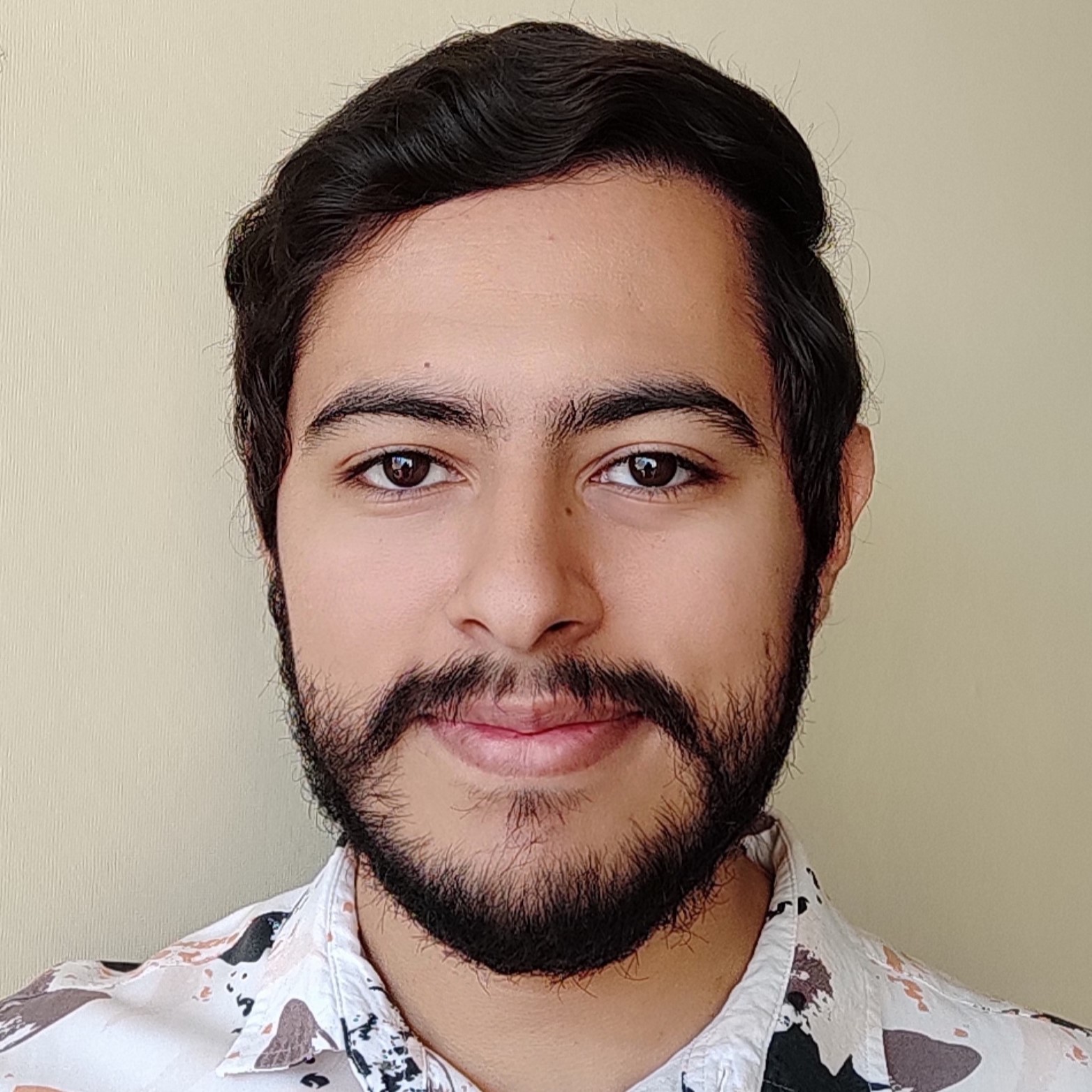 Perfil Benjamín Parra Siñuela
